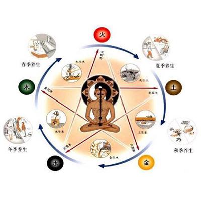 中医学基本理论_什么是中医学